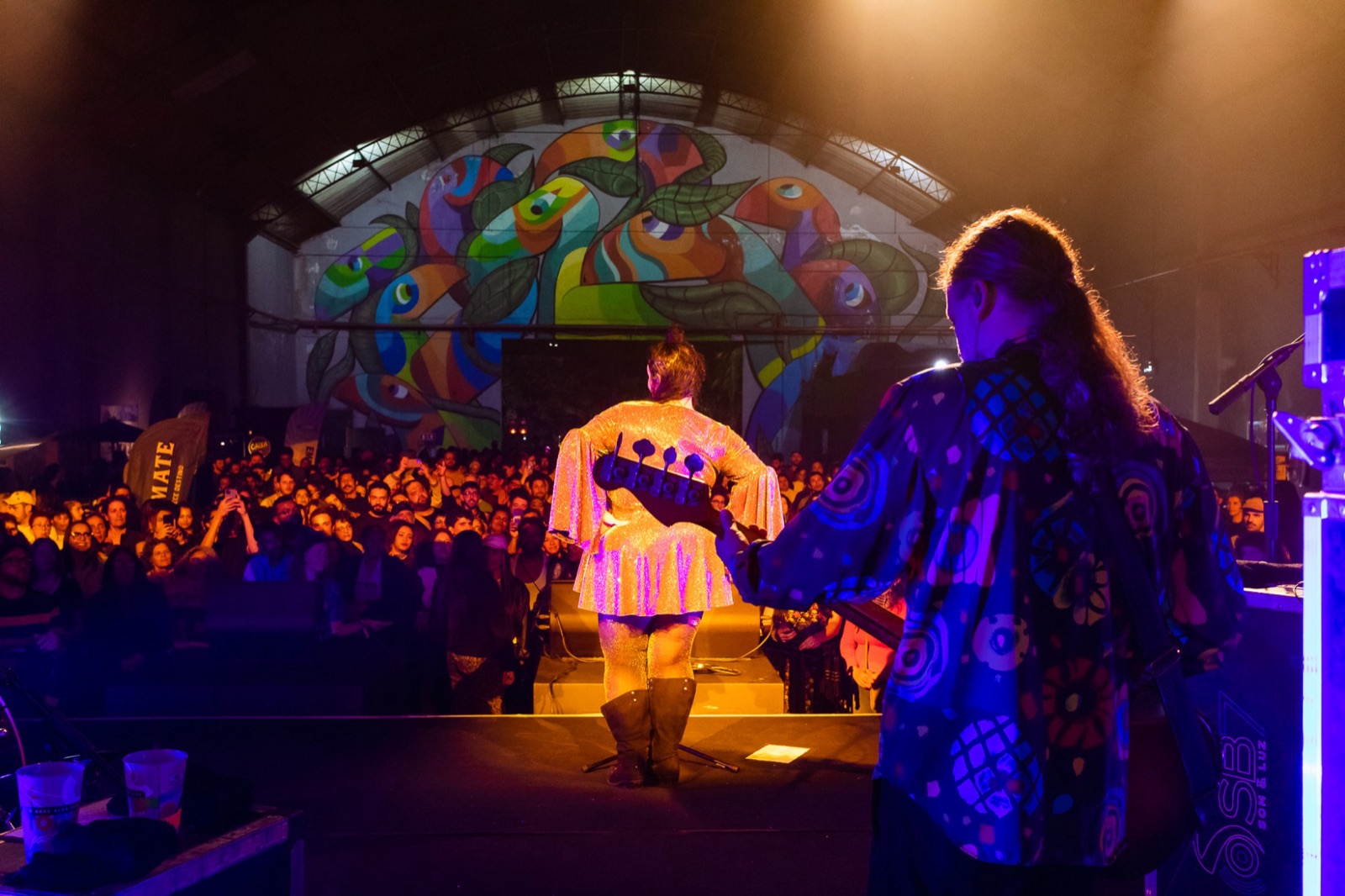Vista do palco do Chiquinha Gonzaga Fest: cantora de vestido brilhante e baixista de costas diante do público, com um grande mural colorido de tucanos ao fundo